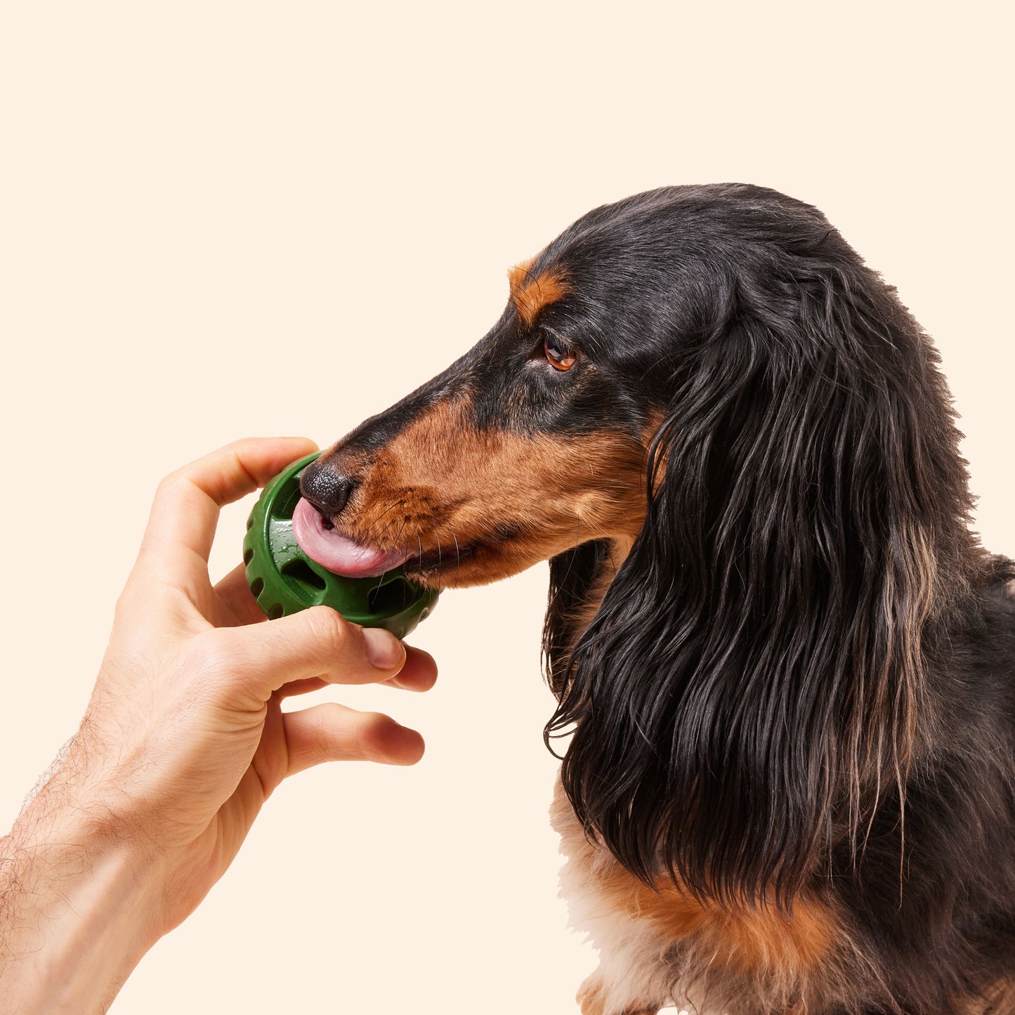 Woof - Pupsicle