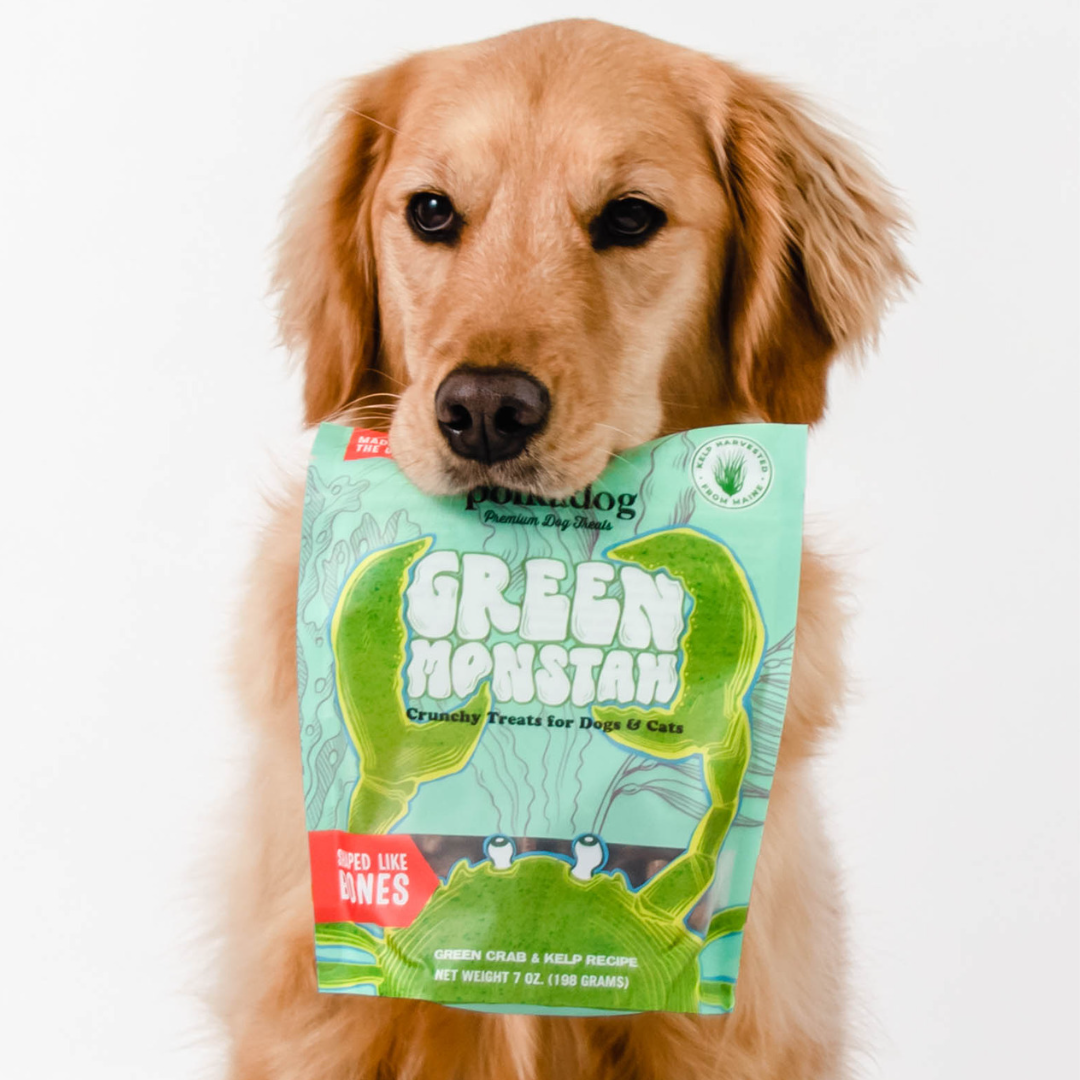 Polkadog Green Monstah (Bones)
